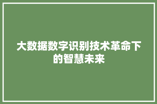 大数据数字识别技术革命下的智慧未来  第1张