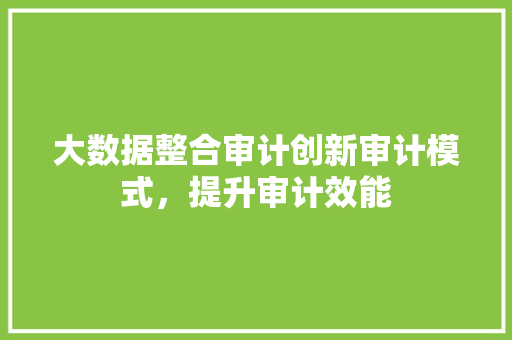 大数据整合审计创新审计模式，提升审计效能  第1张