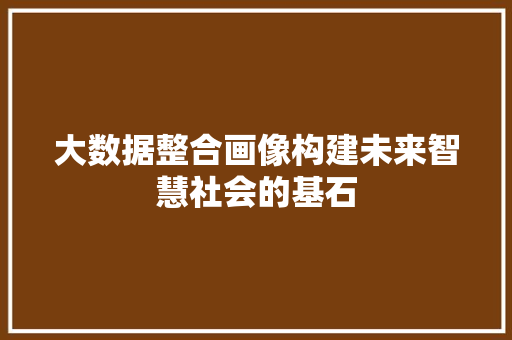 大数据整合画像构建未来智慧社会的基石  第1张
