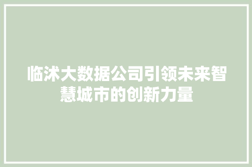 临沭大数据公司引领未来智慧城市的创新力量