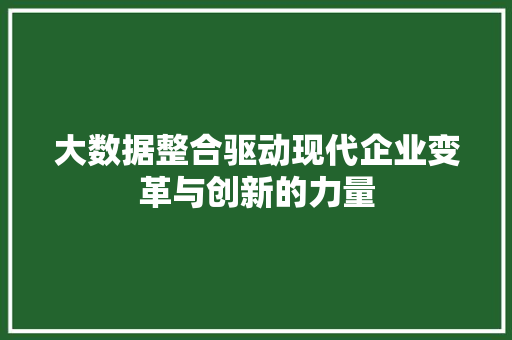 大数据整合驱动现代企业变革与创新的力量