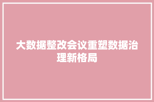 大数据整改会议重塑数据治理新格局