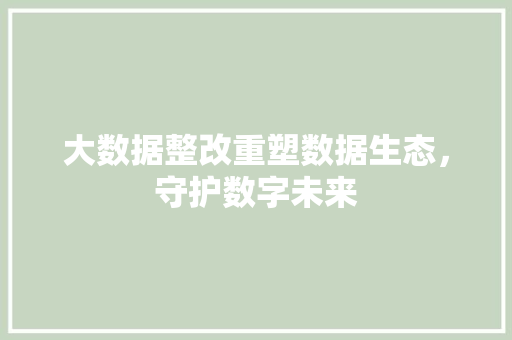 大数据整改重塑数据生态，守护数字未来