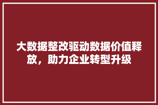 大数据整改驱动数据价值释放，助力企业转型升级