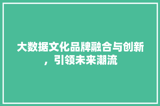 大数据文化品牌融合与创新，引领未来潮流  第1张