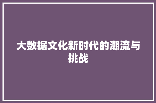 大数据文化新时代的潮流与挑战