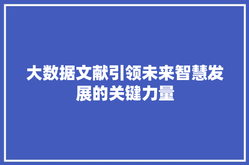 大数据文献引领未来智慧发展的关键力量