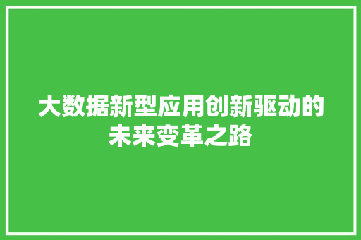 大数据新型应用创新驱动的未来变革之路