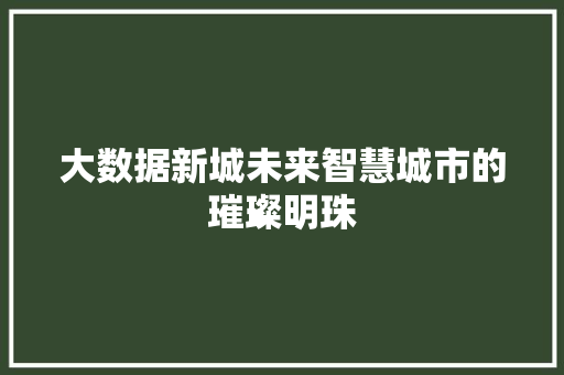 大数据新城未来智慧城市的璀璨明珠