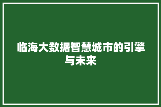 临海大数据智慧城市的引擎与未来