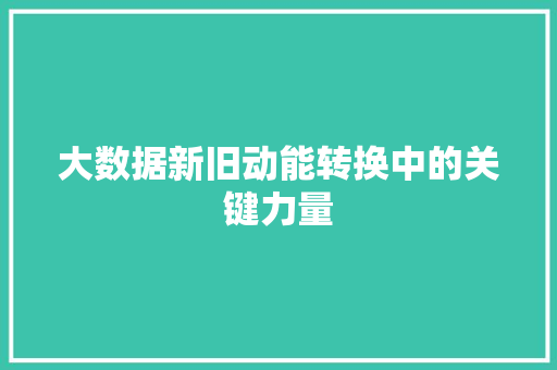 大数据新旧动能转换中的关键力量  第1张