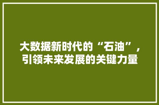 大数据新时代的“石油”，引领未来发展的关键力量  第1张