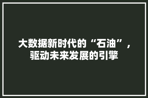 大数据新时代的“石油”，驱动未来发展的引擎  第1张