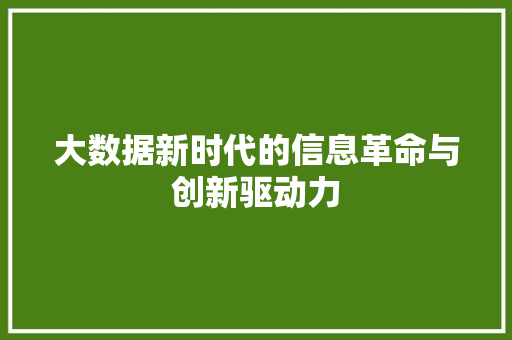大数据新时代的信息革命与创新驱动力  第1张