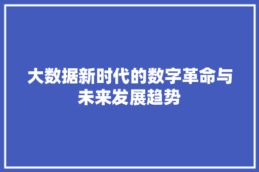 大数据新时代的数字革命与未来发展趋势
