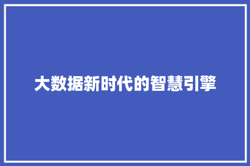 大数据新时代的智慧引擎
