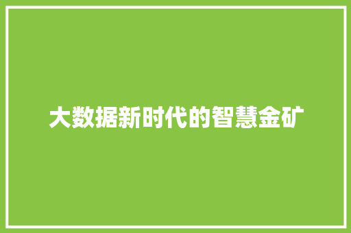大数据新时代的智慧金矿