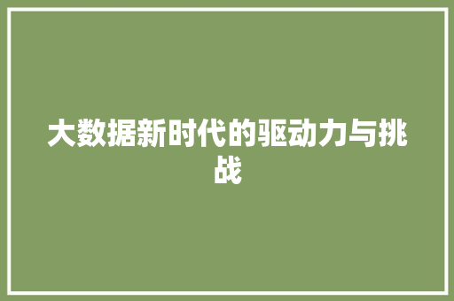 大数据新时代的驱动力与挑战  第1张