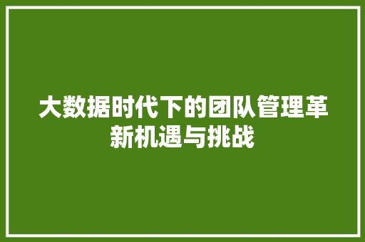 大数据时代下的团队管理革新机遇与挑战  第1张