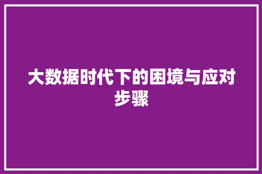 大数据时代下的困境与应对步骤  第1张