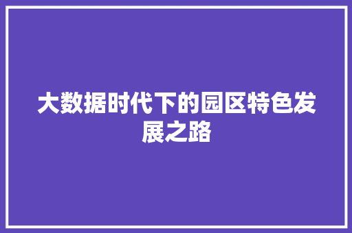 大数据时代下的园区特色发展之路