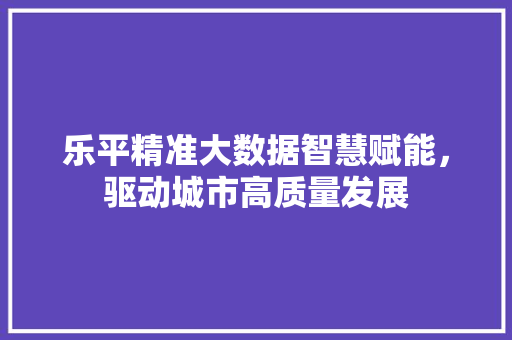 乐平精准大数据智慧赋能，驱动城市高质量发展