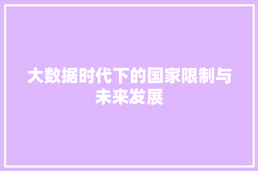 大数据时代下的国家限制与未来发展