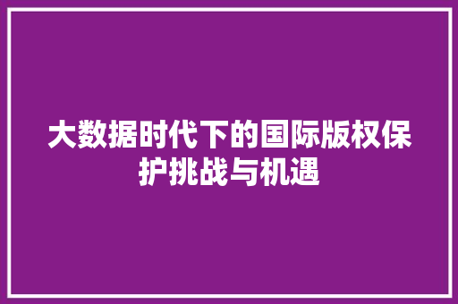 大数据时代下的国际版权保护挑战与机遇
