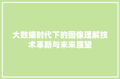 大数据时代下的图像理解技术革新与未来展望