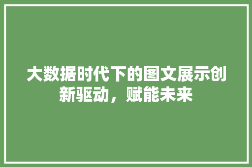 大数据时代下的图文展示创新驱动，赋能未来