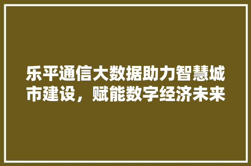 乐平通信大数据助力智慧城市建设，赋能数字经济未来