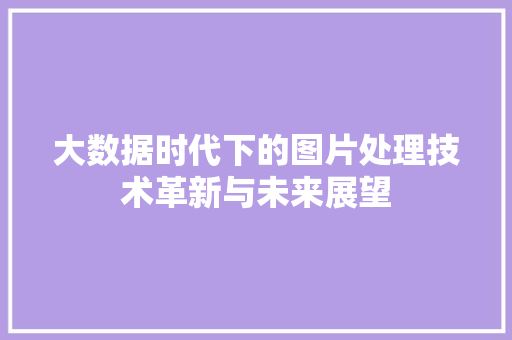 大数据时代下的图片处理技术革新与未来展望  第1张