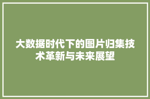 大数据时代下的图片归集技术革新与未来展望