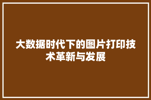 大数据时代下的图片打印技术革新与发展