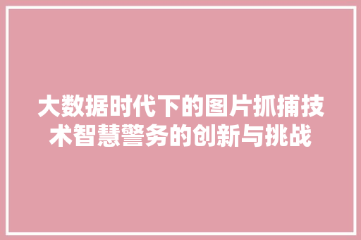 大数据时代下的图片抓捕技术智慧警务的创新与挑战