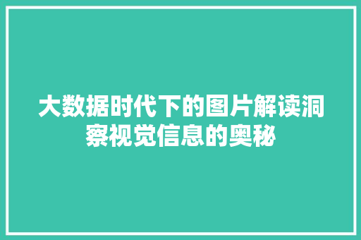 大数据时代下的图片解读洞察视觉信息的奥秘