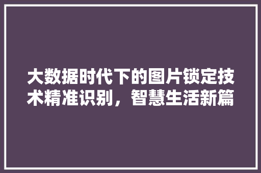 大数据时代下的图片锁定技术精准识别，智慧生活新篇章