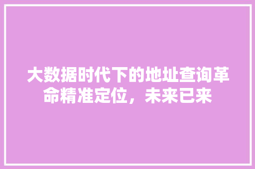 大数据时代下的地址查询革命精准定位，未来已来
