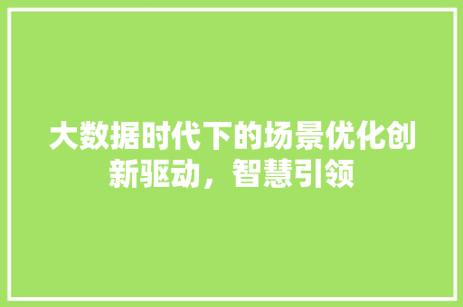 大数据时代下的场景优化创新驱动，智慧引领  第1张