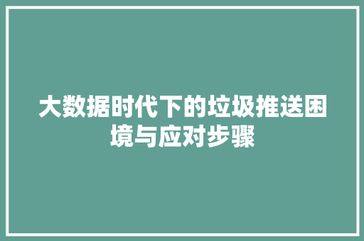 大数据时代下的垃圾推送困境与应对步骤