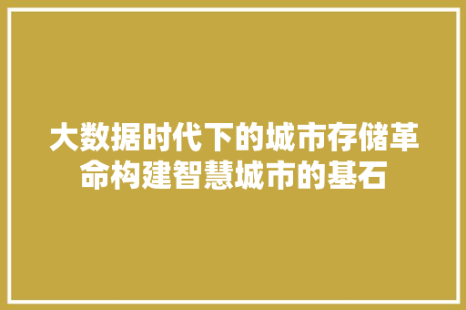 大数据时代下的城市存储革命构建智慧城市的基石  第1张