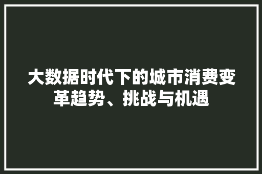 大数据时代下的城市消费变革趋势、挑战与机遇