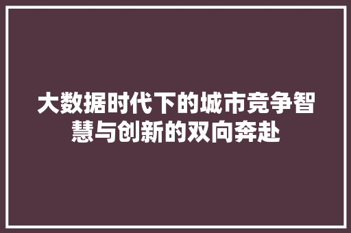 大数据时代下的城市竞争智慧与创新的双向奔赴  第1张