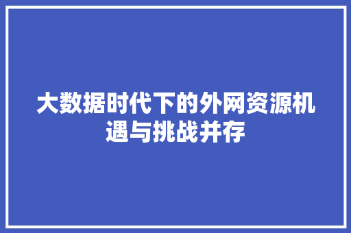 大数据时代下的外网资源机遇与挑战并存  第1张