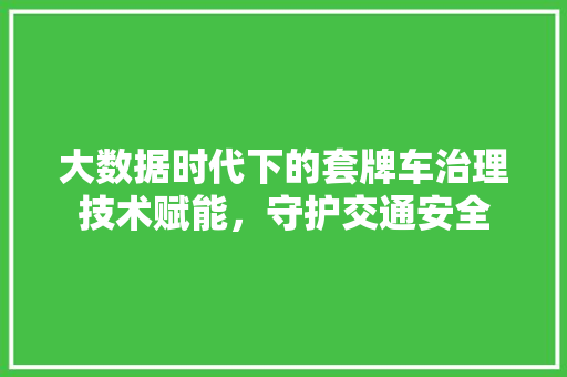 大数据时代下的套牌车治理技术赋能，守护交通安全  第1张