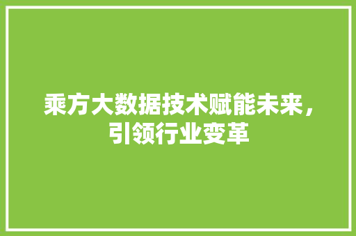 乘方大数据技术赋能未来，引领行业变革