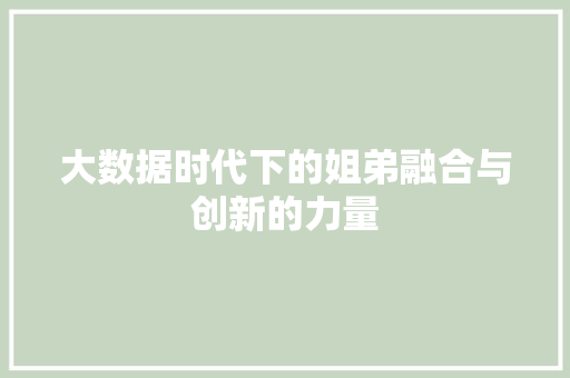大数据时代下的姐弟融合与创新的力量  第1张