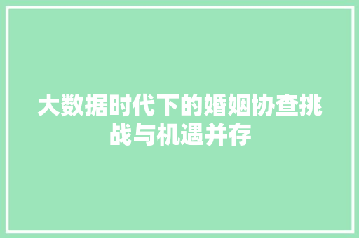 大数据时代下的婚姻协查挑战与机遇并存