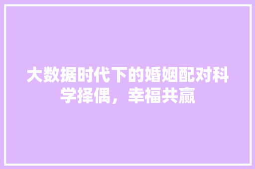 大数据时代下的婚姻配对科学择偶，幸福共赢
