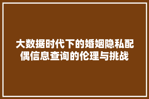 大数据时代下的婚姻隐私配偶信息查询的伦理与挑战
